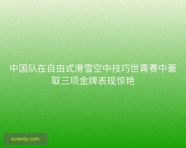中国队在自由式滑雪空中技巧世青赛中豪取三项金牌表现惊艳