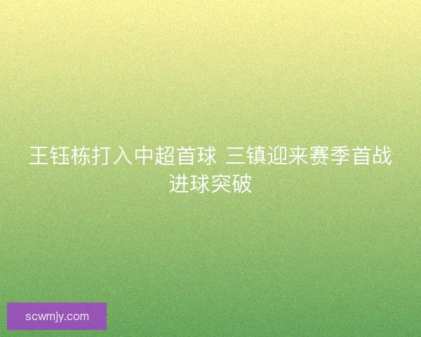 王钰栋打入中超首球 三镇迎来赛季首战进球突破